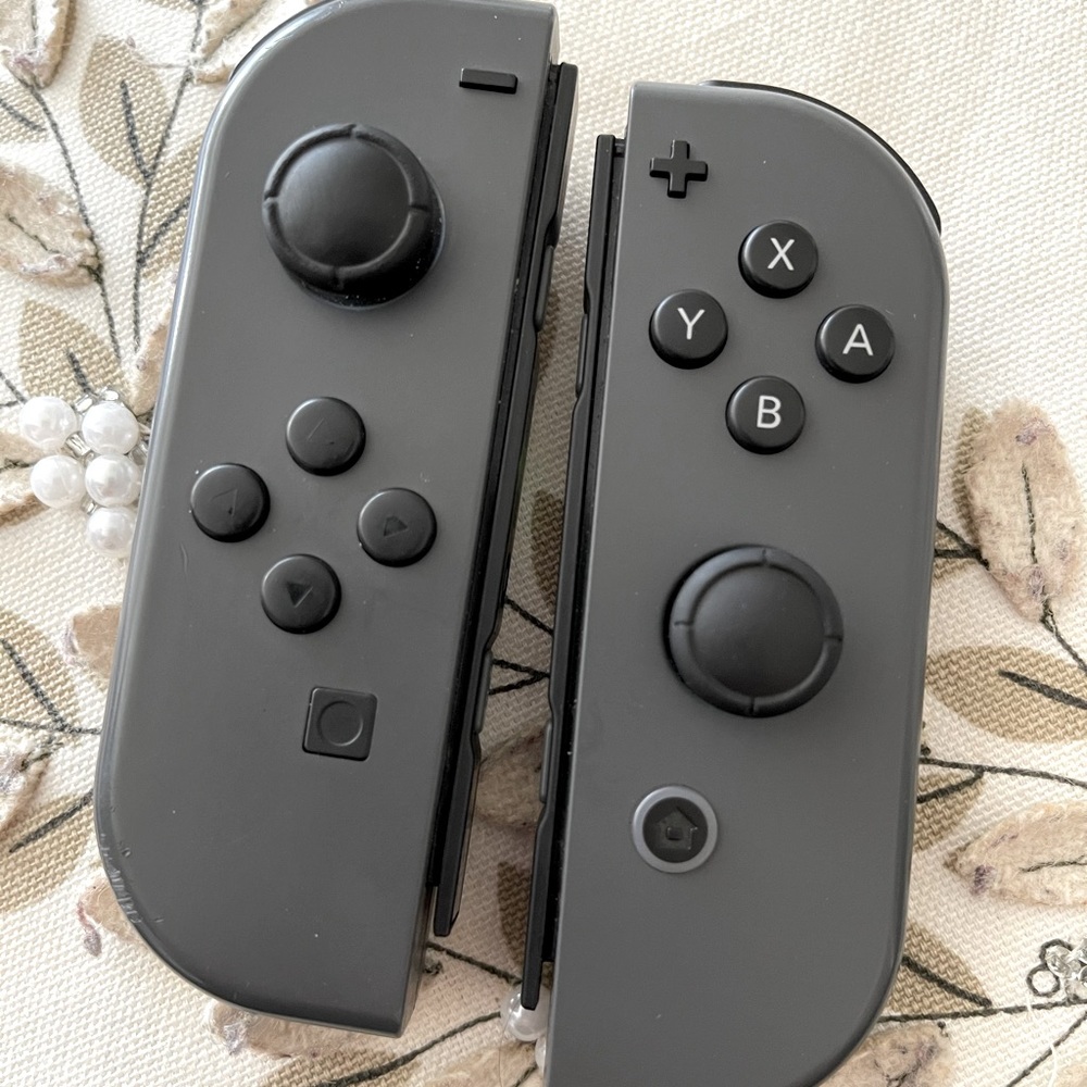 Ninetendo Switch Controller